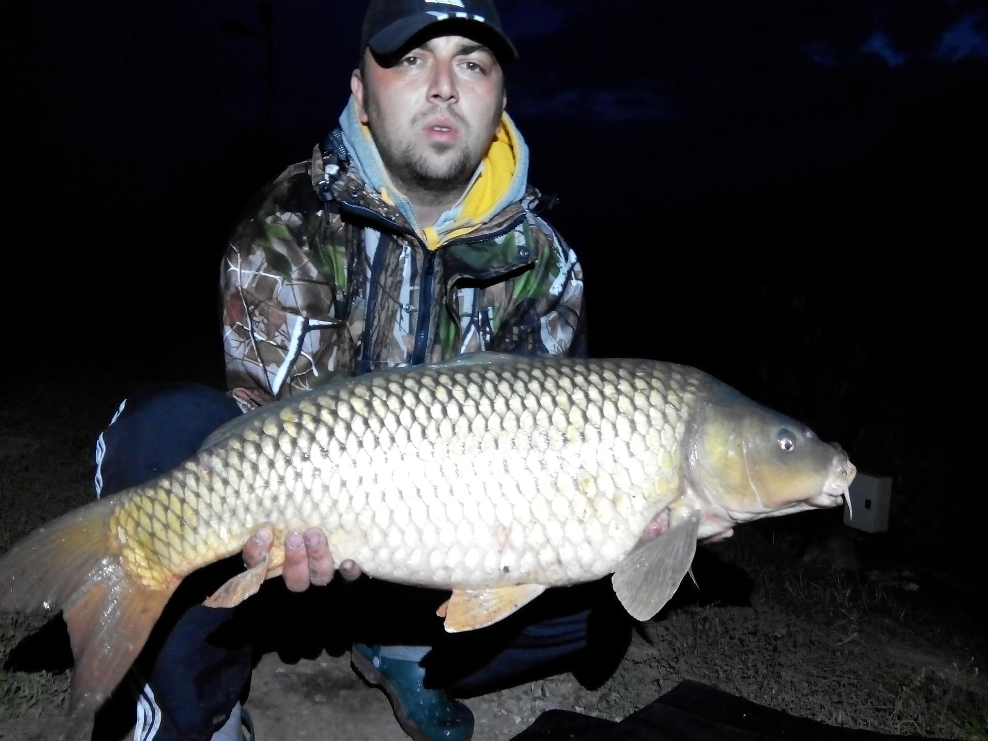 2014 - img20141002192555.jpg